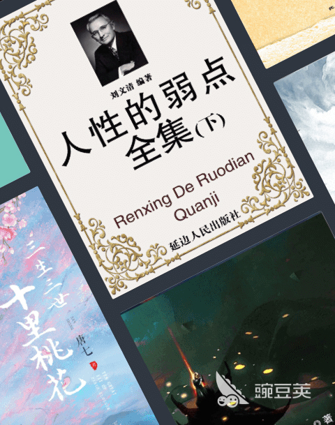 轻小说app下载_下轻小说的网站_轻小说下载软件