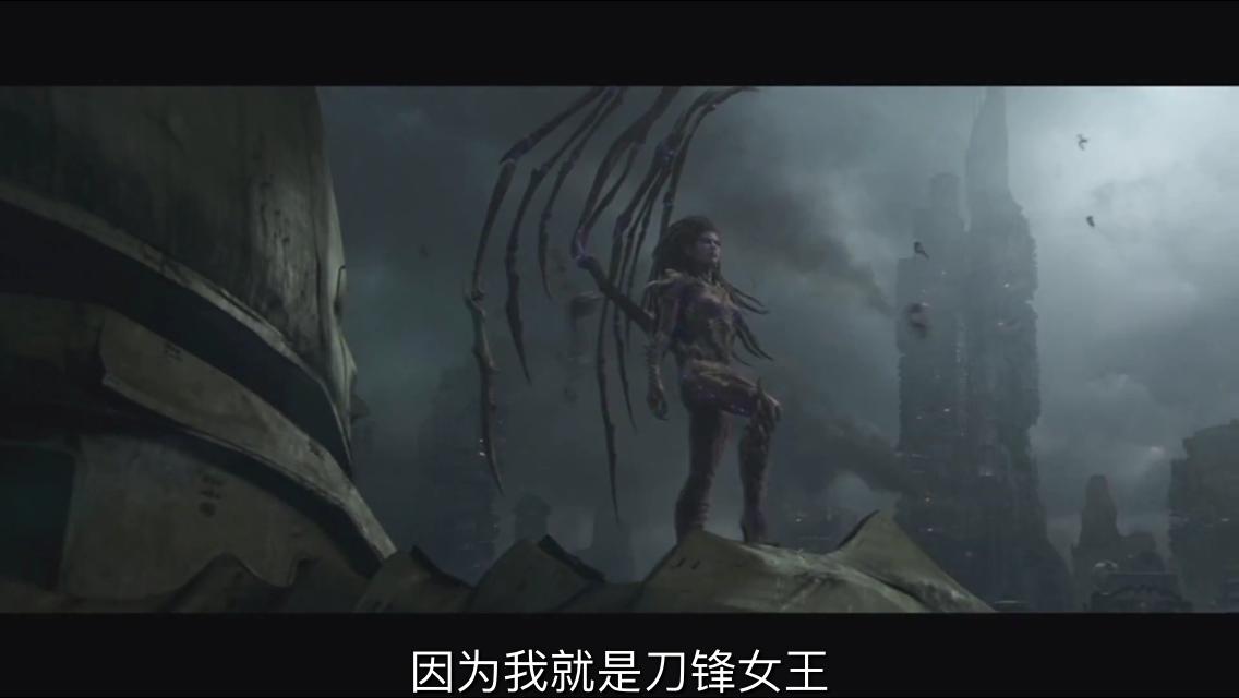 nPlayer免费版_nPlayer功能全面播放器_手机播放器app下载